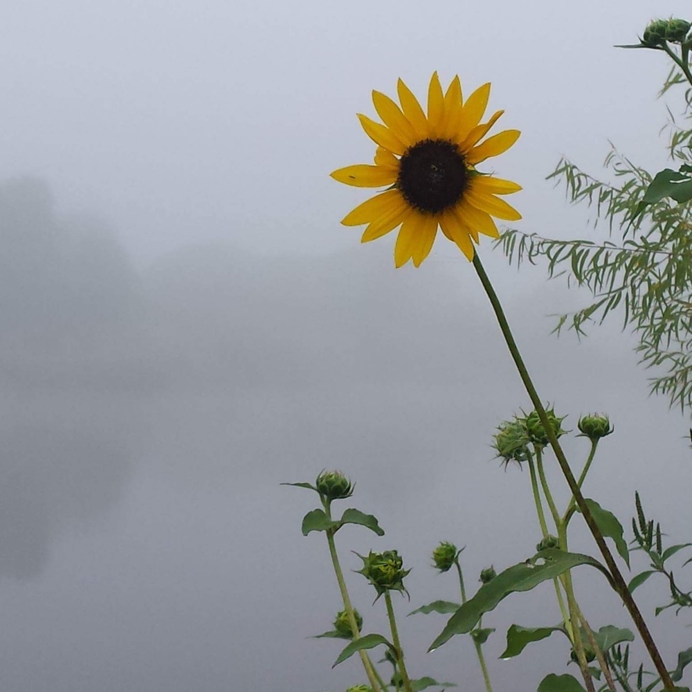 Meet your Posher, Jeana